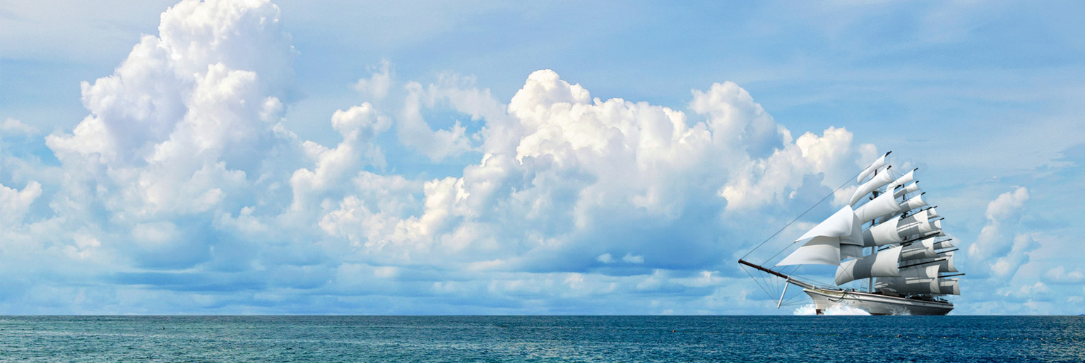 成为全球客户信赖的芯片供应链伙伴